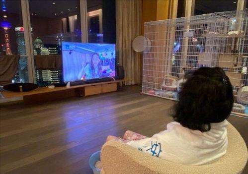 华姿酒店爆料事件视频大全,揭秘酒店内幕事件全纪录